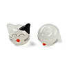 Handmade Lampwork Beads Strands LAMP-T017-19-4