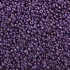 MIYUKI Round Rocailles Beads X-SEED-G007-RR1884-4