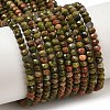 Natural Unakite Beads Strands G-D347-B08-2