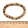 Natural Picture Jasper Round Beaded Stretch Bracelets GG-CBA12F1-02A-05-5