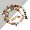 Natural Mixed Stone Chip Beads Strands G-T149-02-1
