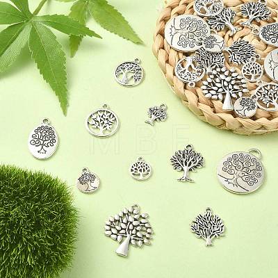 100Pcs 10 Style Tibetan Style Alloy Pendants TIBEP-CJ0001-24-1