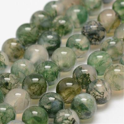 Natural Moss Agate Beads Strands G-F453-4mm-1