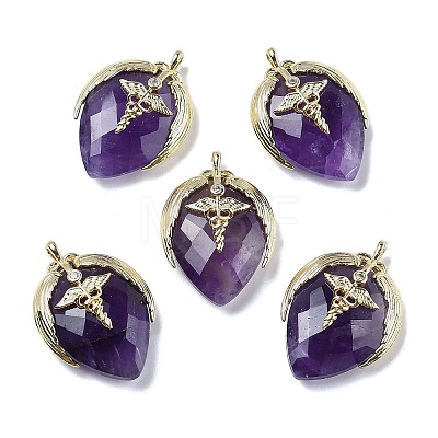 Natural Amethyst Pendants G-U019-01G-06-1