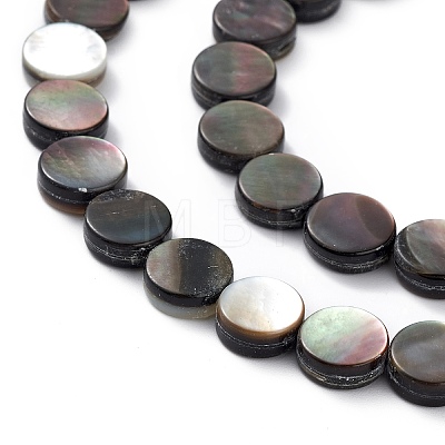 Natural Black Lip Shell Beads SHEL-M018-17-1