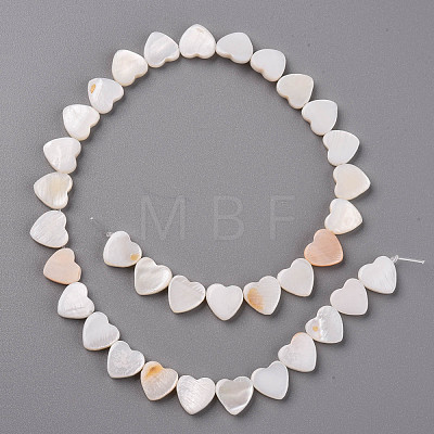 Natural Freshwater Shell Beads Strands X-SHEL-R144-25-1