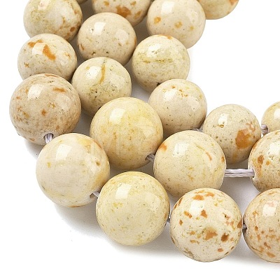 Natural Fossil Graduated Beads Strands G-F830-A03-01A-1