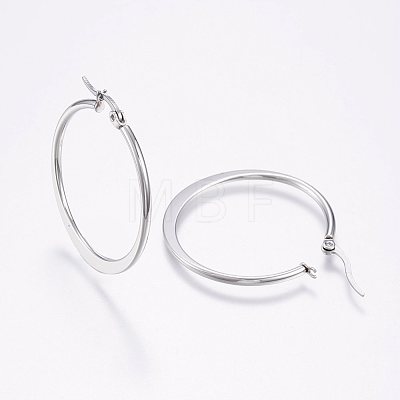 304 Stainless Steel Hoop Earrings EJEW-F105-20P-1