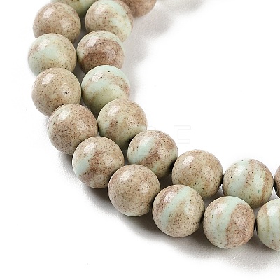 Natural Rainbow Alashan Agate Beads Strands G-NH0022-A08-02-1