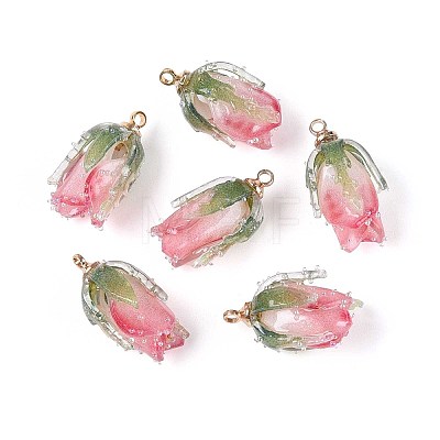 Transparent Acrylic Pendants SACR-T017-53B-1