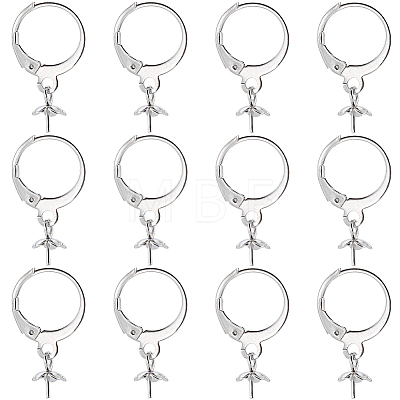 40Pcs 304 Stainless Steel Leverback Earring Findings STAS-SC0006-49-1