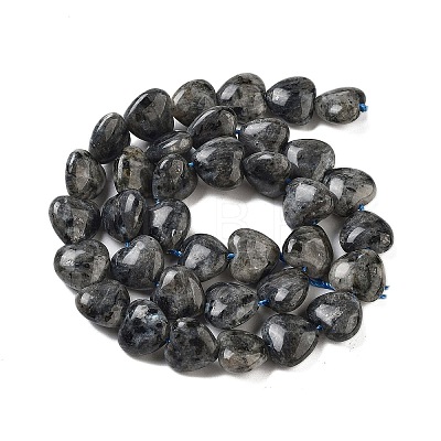 Natural Larvikite Beads Strands G-B022-28C-1