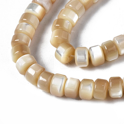 Natural Trochid Shell/Trochus Shell Beads Strands SSHEL-S266-016B-02-1