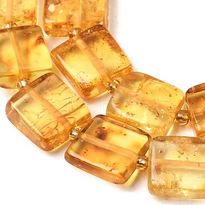 Natural Amber Beads Strands G-C260-A01-03-1