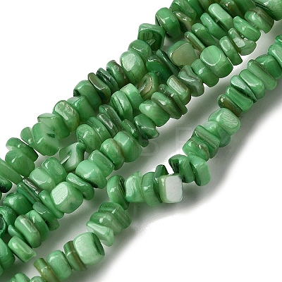 Natural Freshwater Shell Beads SHEL-B003-01E-1