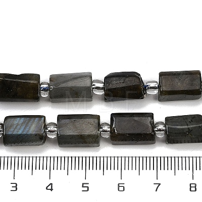 Natural Labradorite Beads Strands G-G162-D13-01-1