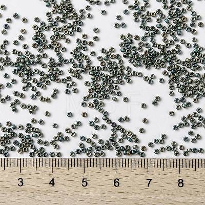 MIYUKI Round Rocailles Beads X-SEED-G009-RR2008-1