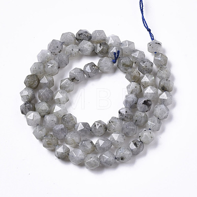 Natural Labradorite Beads Strands G-R465-33A-1