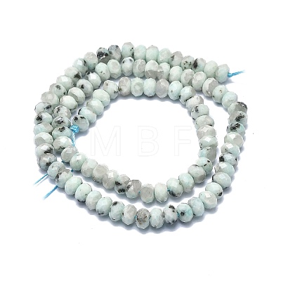 Natural Sesame Jasper Beads Strands G-F715-094-1