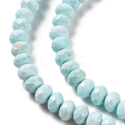 Natural Howlite Beads Strands G-H025-03C-08-1