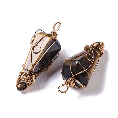 Natural Tiger Eye Copper Wire Wrapped Big Pendants G-B073-02RG-01-1