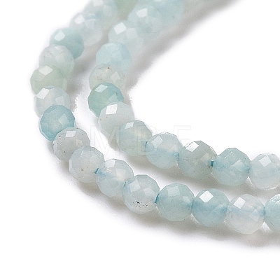 Natural Amazonite Beads Strands G-E351-10A-1