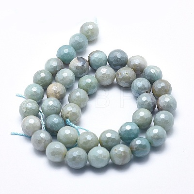 Natural Amazonite Beads Strands G-O164-02-12mm-1