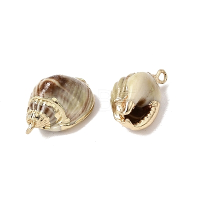 Brass & Natural Shell Pendants SH-CBA27C9-07-1