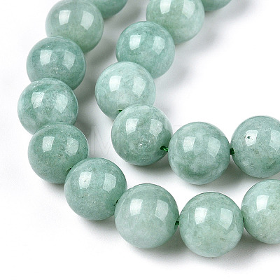 Natural Myanmar Jade/Burmese Jade Beads Strands G-T064-22-10mm-1