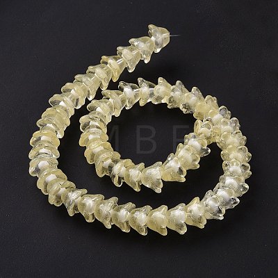 Transparent Glass Beads Strands LAMP-H061-01C-05-1