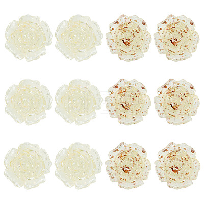 12Pcs 2 Colors Transaprent Resin Enamel Cabochons CRES-TA0001-91-1