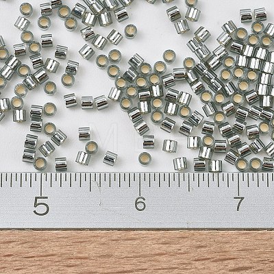 MIYUKI Delica Beads Small X-SEED-J020-DBS0048-1