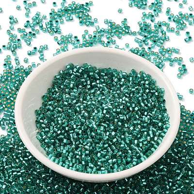 Glass Seed Beads X-SEED-S042-04B-29-1