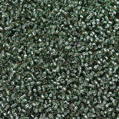 MIYUKI Delica Beads SEED-MY11-DB2165-1