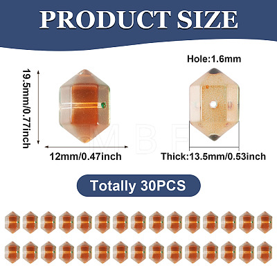 30Pcs Transparent Handmade Lampwork Beads LAMP-TADJ0001-12A-1