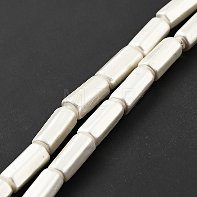Electroplated Shell Pearl Beads Strands BSHE-G027-08A-1