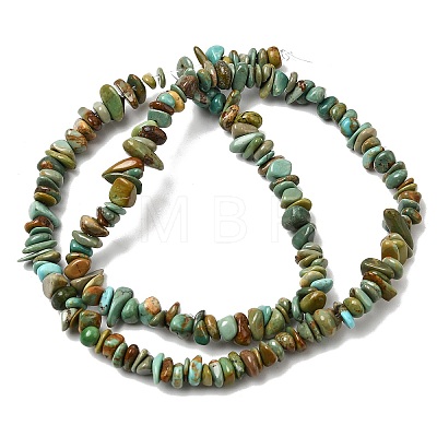 Natural HuBei Turquoise Bead Strands G-H345-A01-04-1