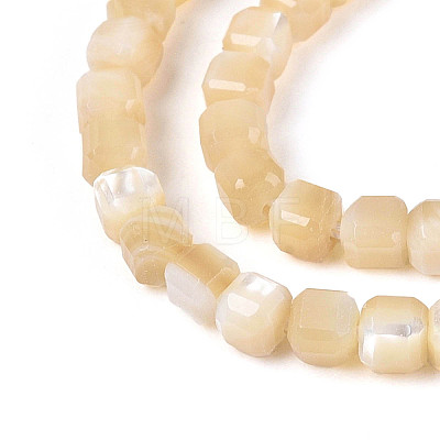 Natural Trochid Shell/Trochus Shell Beads Strands SSHEL-N041-04A-02-1