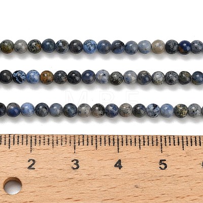 Natural Dumortierite Beads Strands G-Z116-A26-3mm-1