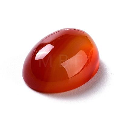 Oval Natural Carnelian Cabochons G-K020-20x15mm-05-1