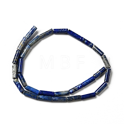 Natural Lapis Lazuli Beads Strands G-I326-05A-1