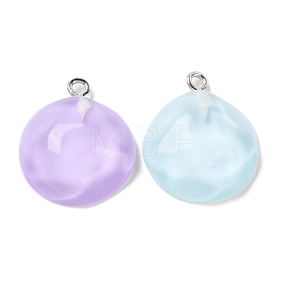 Translucent Resin Pendants RESI-A025-06E-1