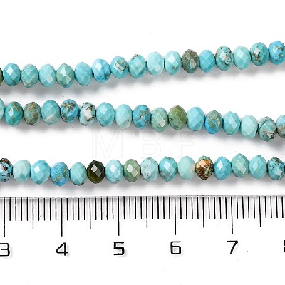 Natural Howlite Beads Strands G-H025-03C-01-1