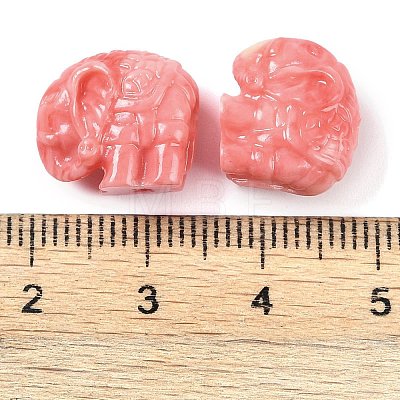 Synthetic Shell Dyed Carved Beads SHEL-H005-12-1