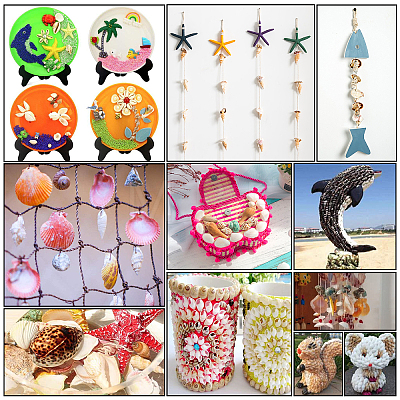 Natural Sea Shell Beads Kits SSHEL-PH0002-49-1