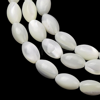 Natural Trochid Shell/Trochus Shell Beads Strands SH-CBA2978-09-1