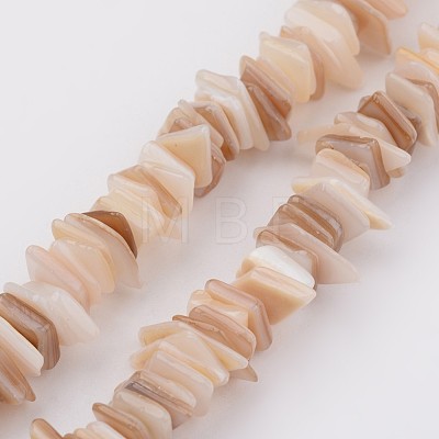 Natural Shell Bead Strands X-BSHE-P021-14-1