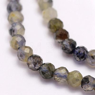 Natural Cordierite/Iolite/Dichroite Beads Strands G-F509-39-3mm-1