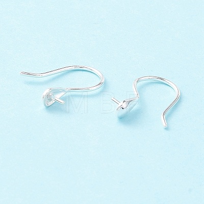 925 Sterling Silver Earring Hooks STER-P047-01A-S-1
