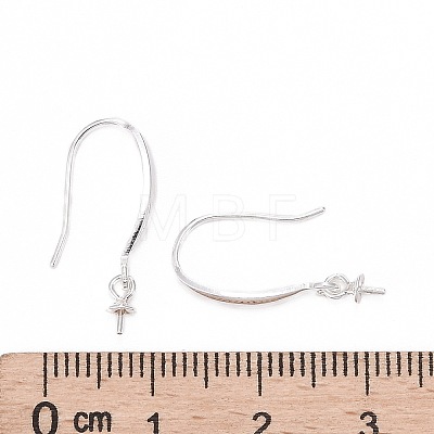 925 Sterling Silver Earring Hooks STER-E062-02S-1